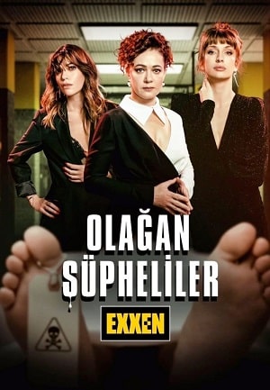 Обычные подозреваемые (сериал, 1-2 сезоны, все серии)